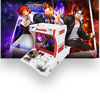 Vertical Type 2 Player Tabletop Arcade Machine (Built-In 2500 Games)